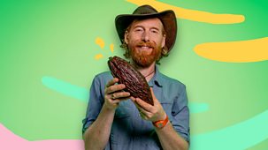 What&rsquo;s In Your Plant Pot? - Series 1: 2. Cacao