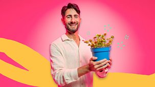 What&rsquo;s In Your Plant Pot? - Series 1: 7. Venus Flytrap