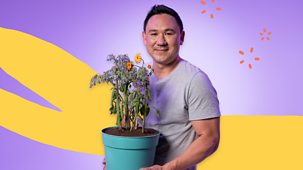 What&rsquo;s In Your Plant Pot? - Series 1: 10. Edible Flowers
