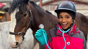 Blue Peter - Full Episodes: Blue Peter's Northern Ireland Adventure