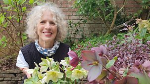 Gardeners' World - 2026: Episode 7