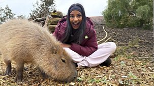 Blue Peter - Full Episodes: Zoo Peter