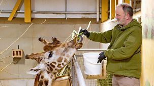 See Hear - Series 45: 4. Wildlife And The Future