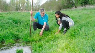 Countryfile - The Chalk Of The Chilterns