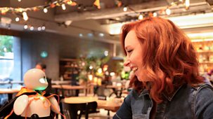 The Future With Hannah Fry - Series 1: 5. Inclusion
