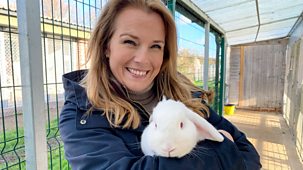 Bargain Hunt - Series 74: Pets