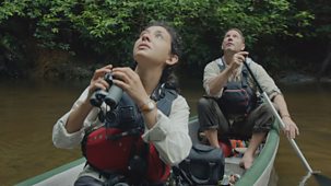 Expedition With Steve Backshall - Series 2: Episode 4