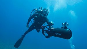 Expedition With Steve Backshall - Series 2: Episode 5