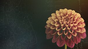 Rhs Chelsea Flower Show - 2026: Episode 8
