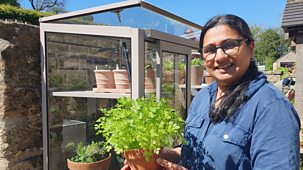 Gardeners' World - 2026: Episode 11