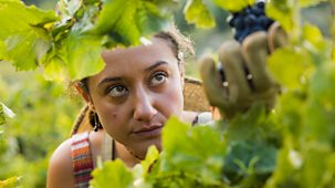 Under The Vines - Series 2: Episode 2