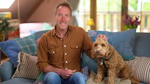 Lifeline - Hearing Dogs For Deaf People
