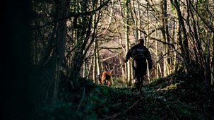 Reported Missing - Series 5: 4. Race Against Time