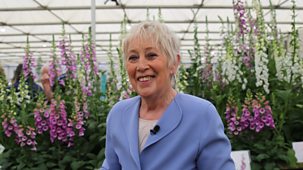 Rhs Chelsea Flower Show - 2026: 13. Highlights, Part 1