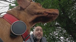Doorbell Detectives - Series 2: Episode 12
