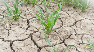 Horizon - The Great British Drought