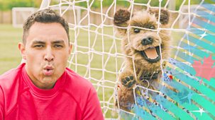 Hacker&rsquo;s Ruff Guide To The World Cup - Series 1: Scotland's Group Stage Predictions