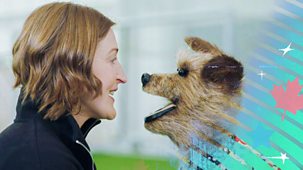 Hacker&rsquo;s Ruff Guide To The World Cup - Series 1: Hacker's Head-to-head With Ellen White