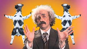 Horrible Science - Series 2: 9. Catapulting Cows, School Of Rocks And First Honk Of The Proms