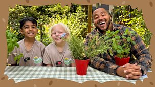 I Can Grow It - Summer: 10. Herbs