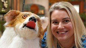 The Bidding Room - Series 8: 2. Corgi Puppet, Irish Dancing Dress, Vintage Hair Dryer