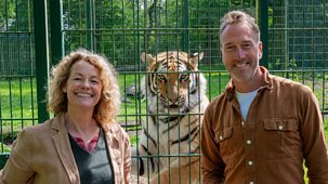 Animal Park - 2026: Episode 4