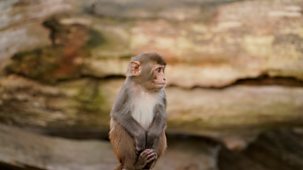 Animal Park - 2026: Episode 5