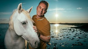 Evolution - Series 1: 5. The Horse