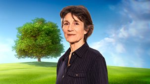 Who Do You Think You Are? - Series 23: Dame Harriet Walter