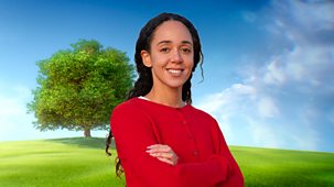 Who Do You Think You Are? - Series 23: Katarina Johnson-thompson