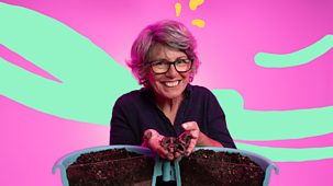 What&rsquo;s In Your Plant Pot? - Series 1: 11. Worms