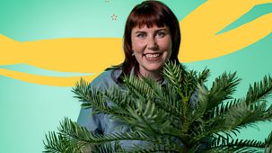 What&rsquo;s In Your Plant Pot? - Series 1: 13. Wollemi Pine
