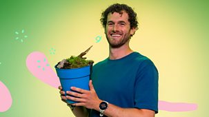 What&rsquo;s In Your Plant Pot? - Series 1: 16. Moss