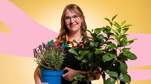 What&rsquo;s In Your Plant Pot? - Series 1: 17. Fragrance