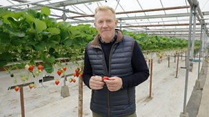 Countryfile - Adam&rsquo;s Young Farmers: West Sussex