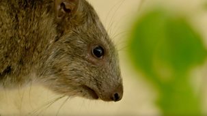 Animal Park - Summer 2021: Episode 8