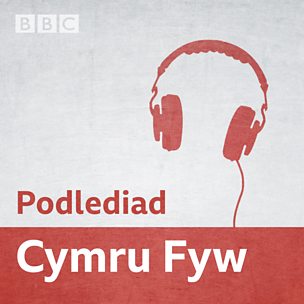 Podlediad Cymru Fyw