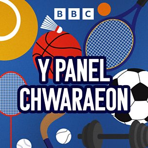 Y Panel Chwaraeon