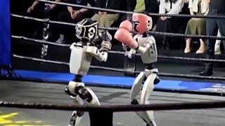 Humanoid robots fight in Chinese kick-boxing competition