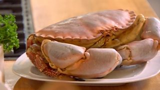 Dressed crab Dressed crab