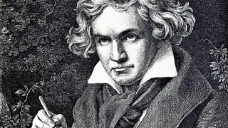 (未使用･未開封品)　Discovering Beethoven With Kaiser & Thielemann [DVD] [Import] tu1jdyt Discovering Beethoven With Kaiser & Thielemann [DVD] [Import
