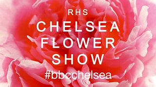 BBC Two - RHS Chelsea Flower Show