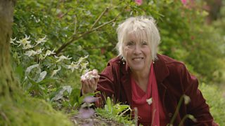 BBC Two - Gardeners' World