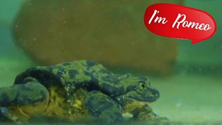 bbc3 dating ohjelma