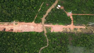 Amazon forest felled to build road for climate summit