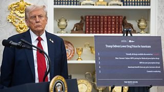 Pfizer to offer cheaper US drugs via Trump's website in new deal