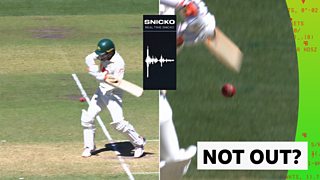 Alex Carey thi đấu