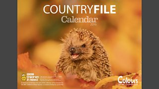 BBC - The Countryfile Calendar 2016 - Happy Hedgehog
