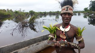 A Tribe In New Guinea Give Men Crocodile Scars To Honour Their Ancestors   The Guardian Nigeria News - Nigeria and World News — Guardian Life — The  Guardian Nigeria News – Nigeria and World News