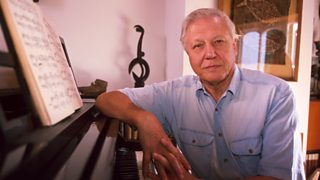 Sir David Attenborough in his trademark blue shirt sitting at a grand piano